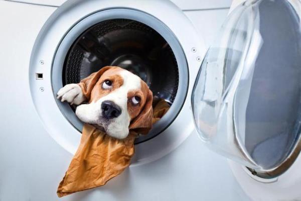 洗衣机里到底有多脏？长期不清洁衣物越洗越脏！