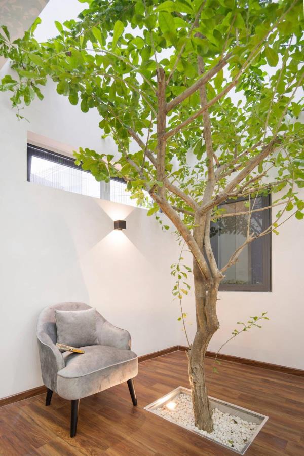 深圳别墅装修：家里地板种树，一楼还带户外花园！