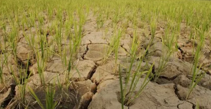今年下半年是干旱吗最新2023-2023年下半年是涝还是旱