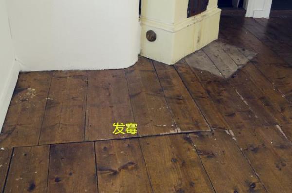 广州装饰公司：自建房下面铺一层陶粒有什么好处？