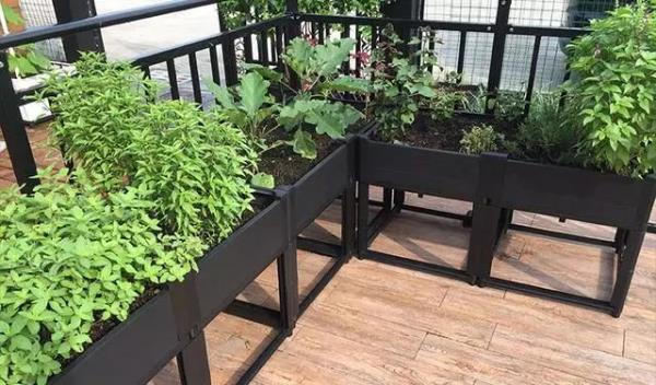 河北装饰公司：阳台装修成这样，住城里也有菜园子！