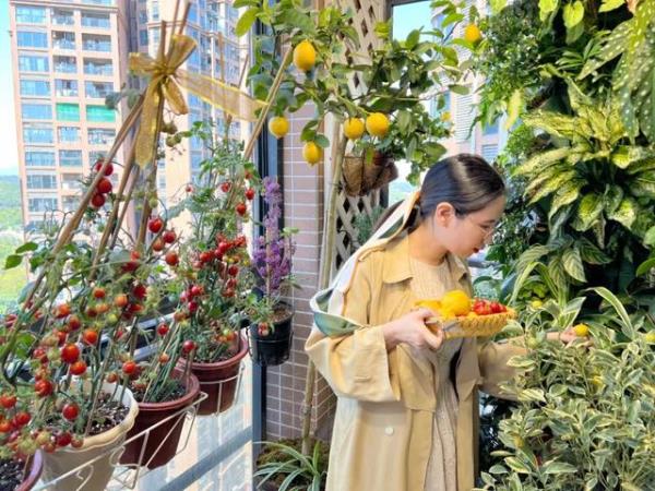 深圳家庭装修：阳台种满了蔬菜瓜果！