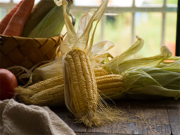 玉米靠什么传播种子?