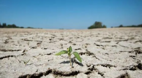 今年的干旱持续到什么时候结束2023-今年的干旱还要持续多久