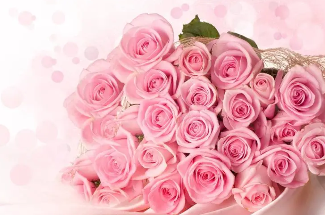 粉色玫瑰的花语是什么意思（粉玫瑰适合送什么人）