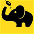 大象今日更新585大象
